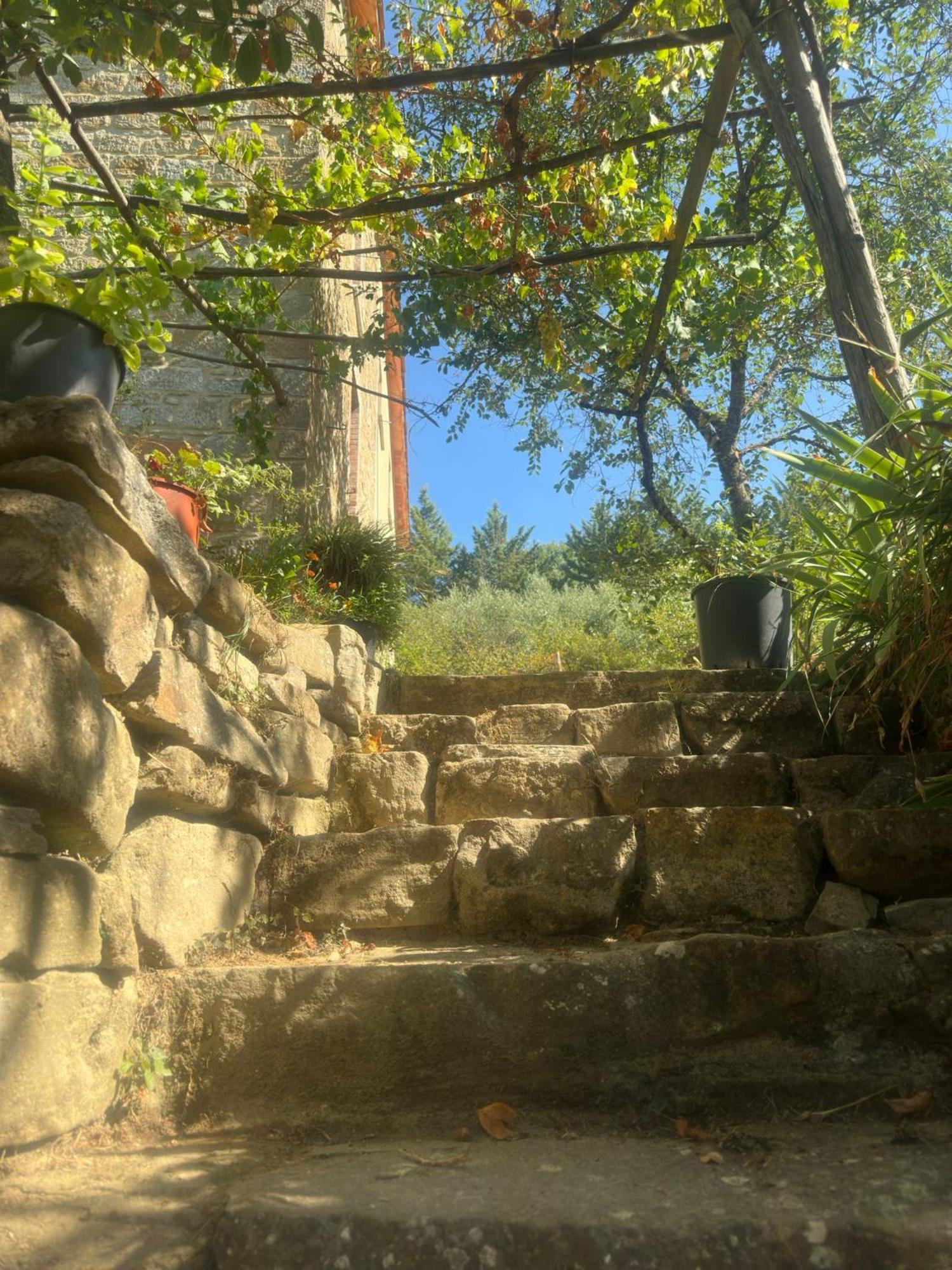 La Fonte B&B 피에트라루냐 외부 사진